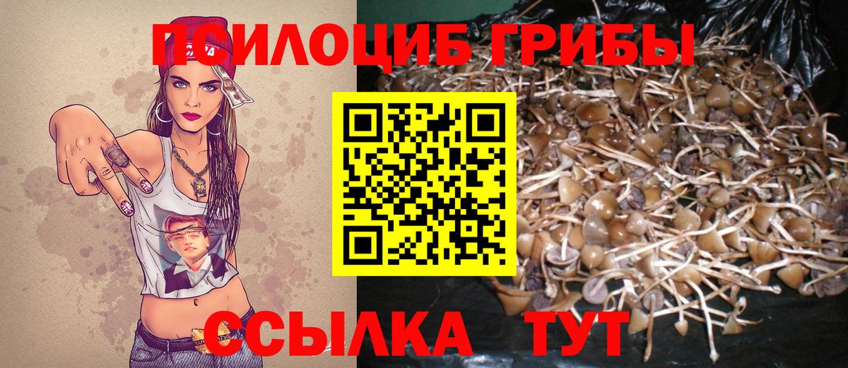 Псилоцибиновые грибы ЛСД Амурск