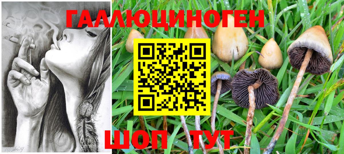 Амурск  Псилоцибиновые грибы Cubensis  Псилоцибиновые грибы Magic Shrooms  Вход с VPN 